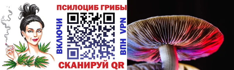 Псилоцибиновые грибы Psilocybine cubensis  Ак-Довурак 